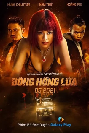 Bông Hồng Lửa
