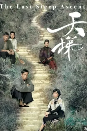 Nấc Thang Tình Yêu